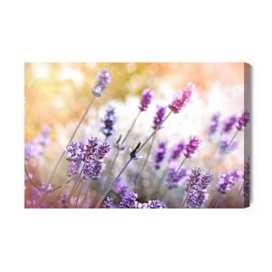 Peinture sur toile De Lavande En Fleurs – Image 2