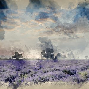 Peinture sur toile Artistique Lavande Pays – Image 1