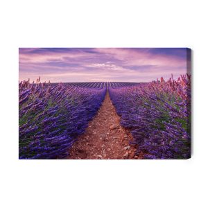 Peinture sur toile Beau Champ De Lavande – Image 2