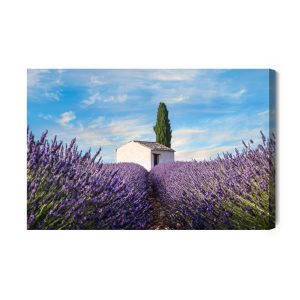 Peinture sur toile Belles Fleurs De Lavande – Image 2