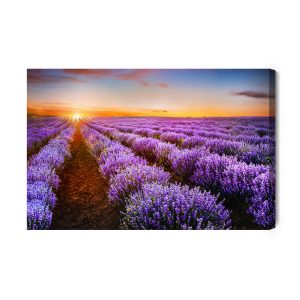 Peinture sur toile Lavande Au Coucher Du Soleil – Image 2