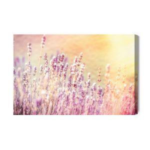 Peinture sur toile Lavande Au Soleil. – Image 2