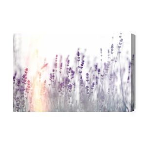 Peinture sur toile Lavande Au Coucher Du Soleil – Image 2