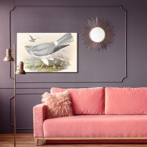 Peinture sur toile Oiseaux De Proie – Image 4