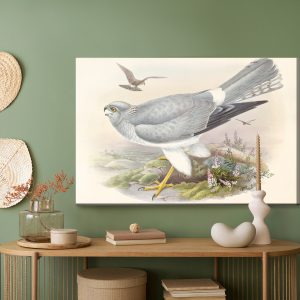 Peinture sur toile Oiseaux De Proie – Image 5