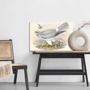 Peinture sur toile Oiseaux De Proie – Image 6