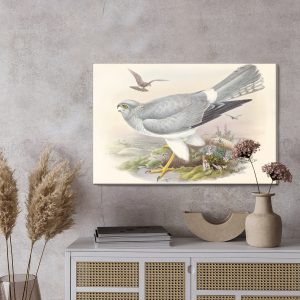 Peinture sur toile Oiseaux De Proie – Image 3