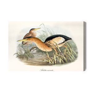 Peinture sur toile Des Oiseaux Aquatiques – Image 2