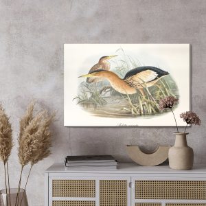 Peinture sur toile Des Oiseaux Aquatiques – Image 3