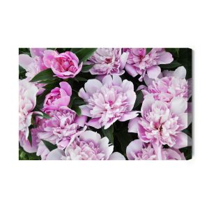 Peinture sur toile Pivoines Parmi La Verdure – Image 2