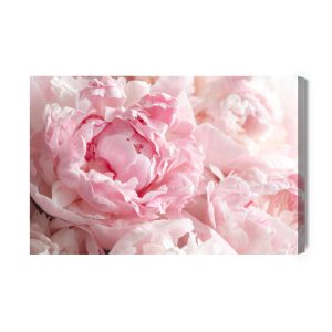 Peinture sur toile Pivoines En Rose Clair – Image 2