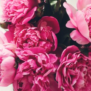 Peinture sur toile Bouquet De Pivoines Roses – Image 1