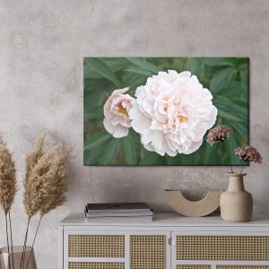 Peinture sur toile Pivoine Lumineuse – Image 3