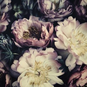 Peinture sur toile Pivoines Aux Couleurs Sombres – Image 1