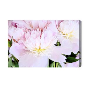 Peinture sur toile Pivoine Rose En Rose Clair – Image 2