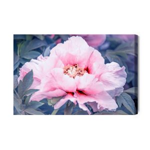 Peinture sur toile Pivoine Dans Le Jardin – Image 2