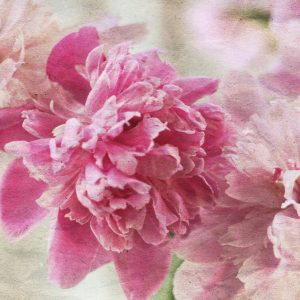 Peinture sur toile Pivoines Dans Un Style Rétro – Image 1