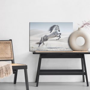 Peinture sur toile Cheval Dans Le Désert – Image 6