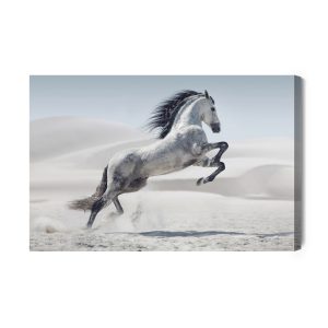 Peinture sur toile Cheval Dans Le Désert – Image 2