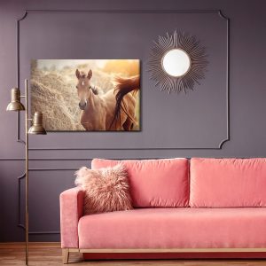 Peinture sur toile Un Poulain Sur Fond De Balles De Foin – Image 4