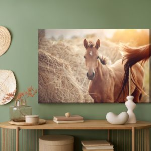 Peinture sur toile Un Poulain Sur Fond De Balles De Foin – Image 5