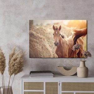 Peinture sur toile Un Poulain Sur Fond De Balles De Foin – Image 3