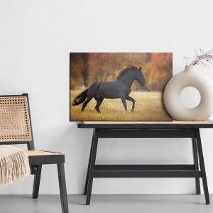 Peinture sur toile Cheval Noir Dans La Clairière – Image 6