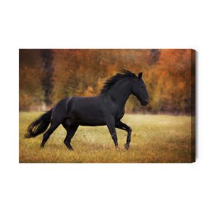 Peinture sur toile Cheval Noir Dans La Clairière – Image 2