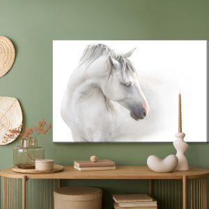 Peinture sur toile Un Cheval Blanc Dans Le Brouillard – Image 5