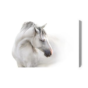 Peinture sur toile Un Cheval Blanc Dans Le Brouillard – Image 2