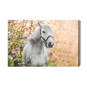 Peinture sur toile Cheval Sur Fond De Fleurs – Image 2