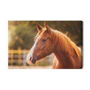 Peinture sur toile Un Cheval Dans Le Paddock – Image 2