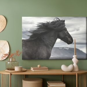 Peinture sur toile Cheval Noir Sur Fond De Nuages – Image 5