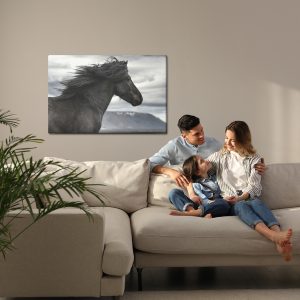 Peinture sur toile Cheval Noir Sur Fond De Nuages – Image 7