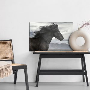 Peinture sur toile Cheval Noir Sur Fond De Nuages – Image 6