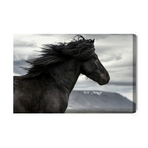 Peinture sur toile Cheval Noir Sur Fond De Nuages – Image 2