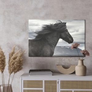 Peinture sur toile Cheval Noir Sur Fond De Nuages – Image 3