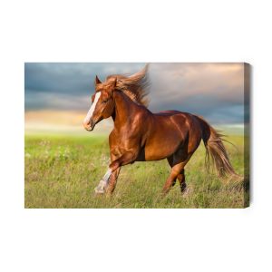 Peinture sur toile Cheval Au Galop Dans La Clairière – Image 2