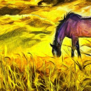 Peinture sur toile Cheval Peint Sur Le Terrain – Image 1