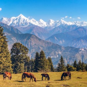 Peinture sur toile Chevaux Et Paysage De Montagne – Image 1