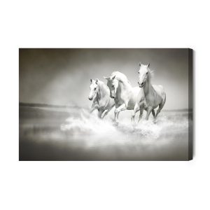 Peinture sur toile Chevaux En Noir Et Blanc – Image 2
