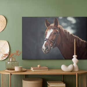 Peinture sur toile Cheval Sur Le Fond De La Forêt – Image 5