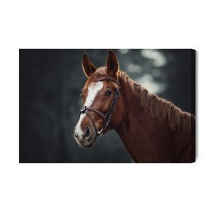 Peinture sur toile Cheval Sur Le Fond De La Forêt – Image 2