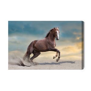 Peinture sur toile Cheval Majestueux Dans Le Désert – Image 2