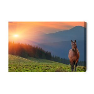 Peinture sur toile Cheval Sur Fond De Coucher De Soleil – Image 2