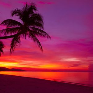 Peinture sur toile Mer Au Coucher Du Soleil – Image 1