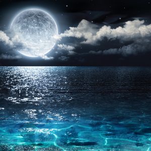 Peinture sur toile Mer La Nuit Avec La Lune – Image 1