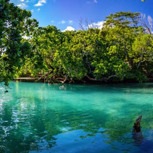 Peinture sur toile Baie De La Mer Tropicale – Image 1