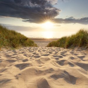 Peinture sur toile Chemin Vers La Mer – Image 1