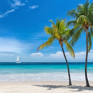 Peinture sur toile Île Dans La Mer Tropicale – Image 1
